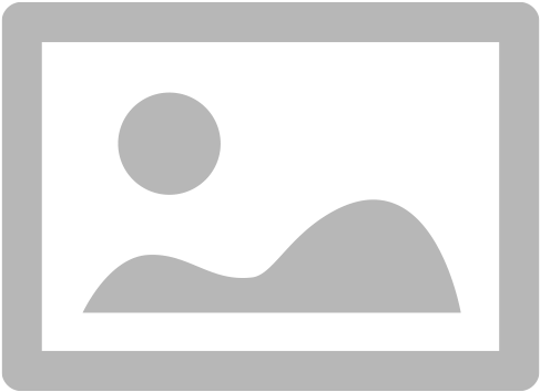 Winsports.co logo